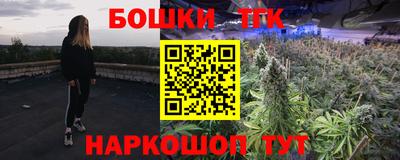 шишки Камышлов