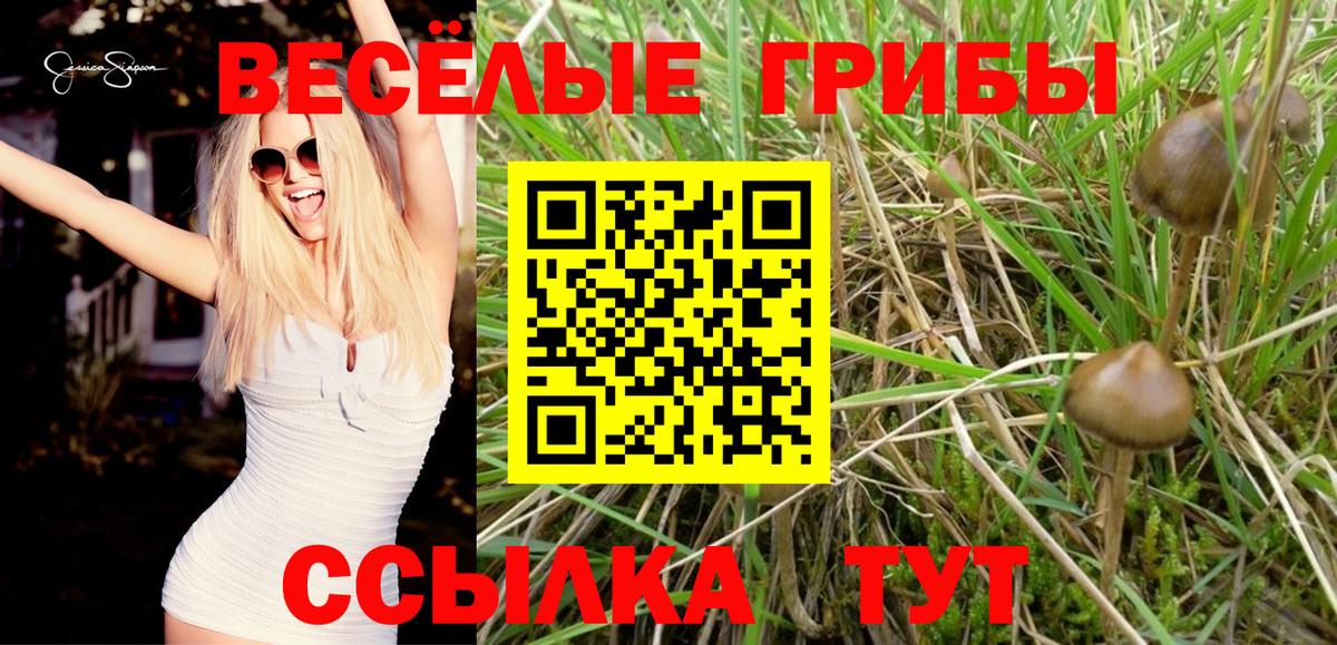 Галлюциногенные грибы MAGIC MUSHROOMS  Вход с VPN  Псилоцибиновые грибы прущие грибы  Волжский 